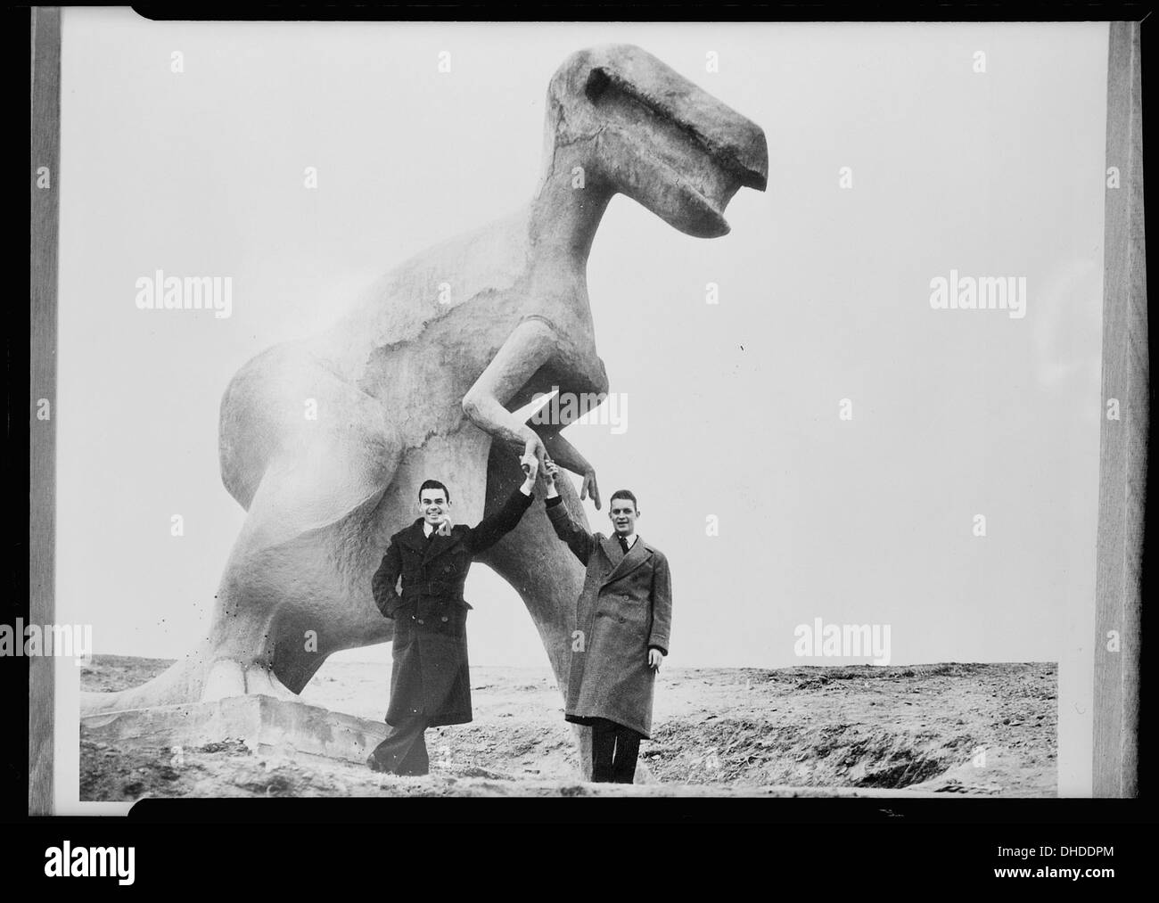 Ein Modell eines Tyrannosaurus rex, einer der bekanntesten Dinosaurierarten, wird zu Bildungs- oder Ausstellungszwecken gezeigt. Diese Nachbildung hebt die Größe und die Merkmale des prähistorischen Raubtiers hervor. Stockfoto