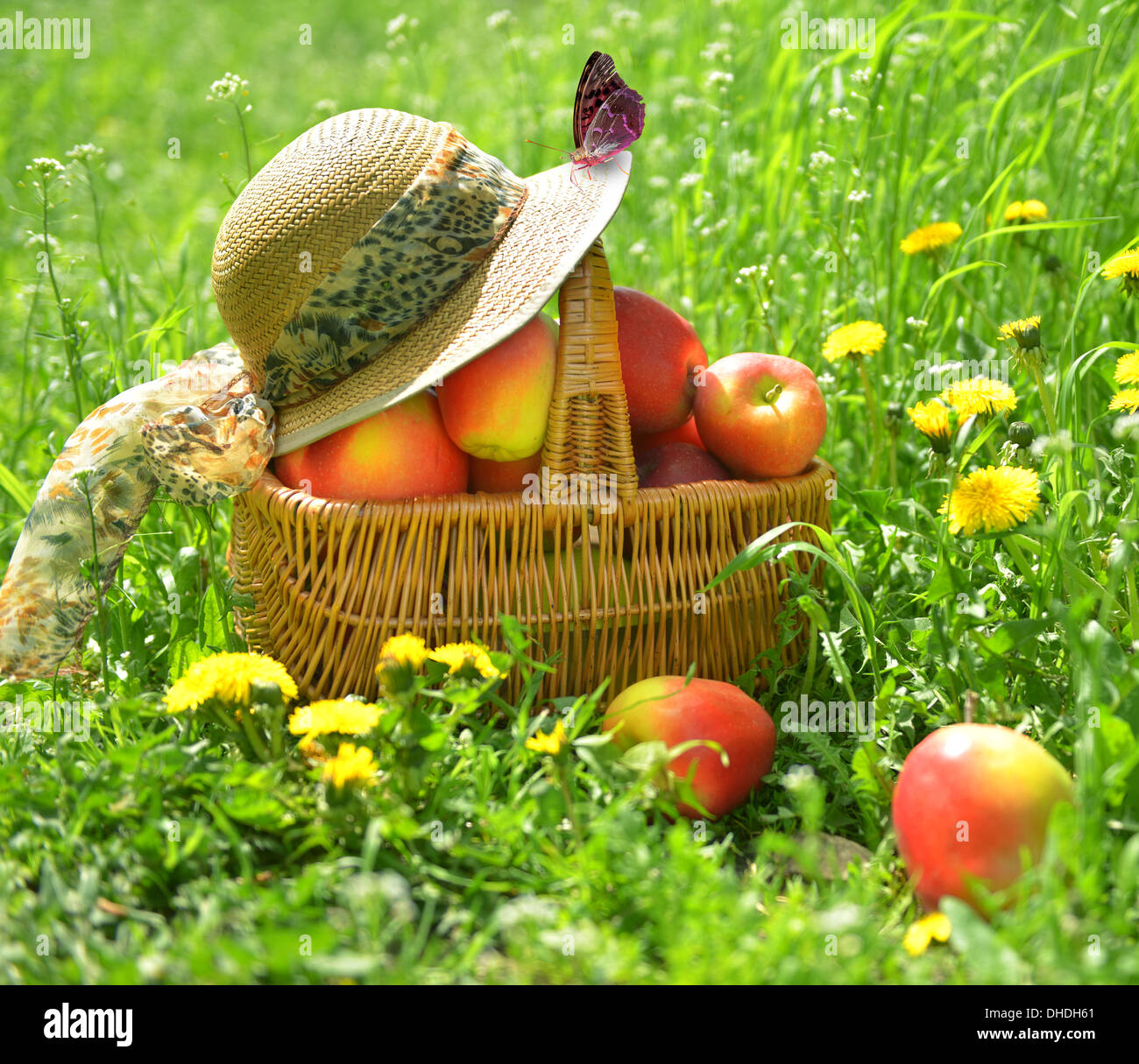 Äpfel in einem Korb auf dem Rasen im Garten Stockfoto
