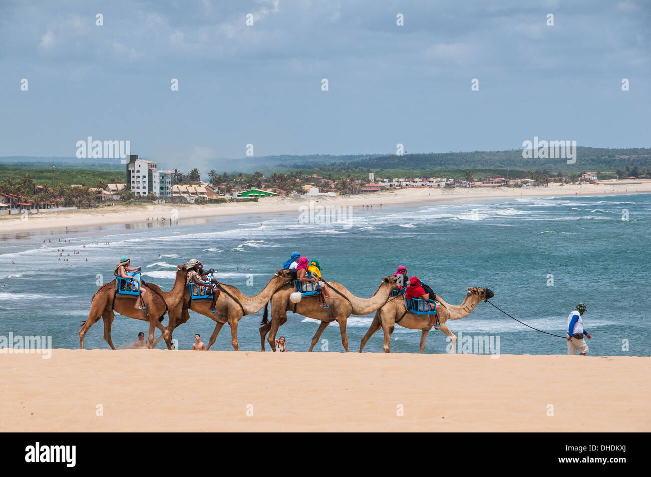 Kamel reiten in den berühmten Sanddünen von Natal, Rio Grande do Norte, Brasilien Stockfoto
