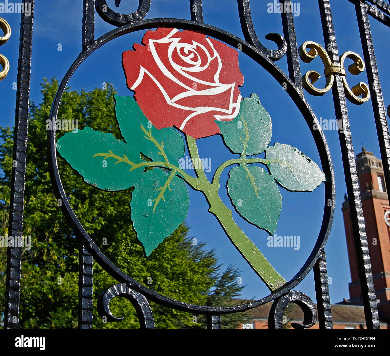 Die Lancashire Red Rose an den Eingangstoren an Emirates Old Trafford Cricket Ground in Manchester vor einem tiefblauen Himmel Stockfoto