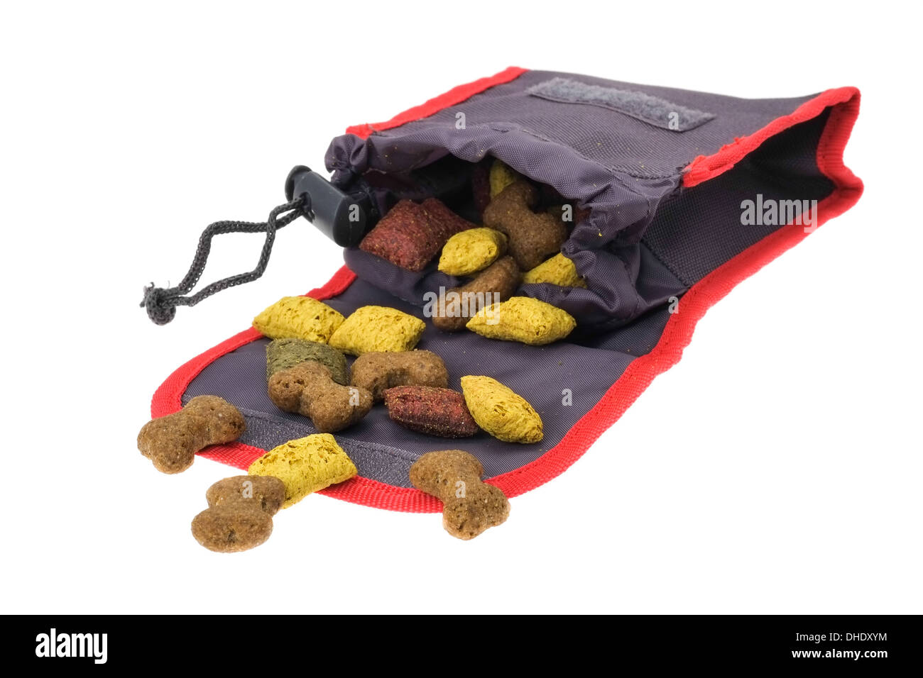 Kleine Tasche mit Hund behandelt während Hundetraining - Studio gedreht mit einem weißen Hintergrund verwendet Stockfoto