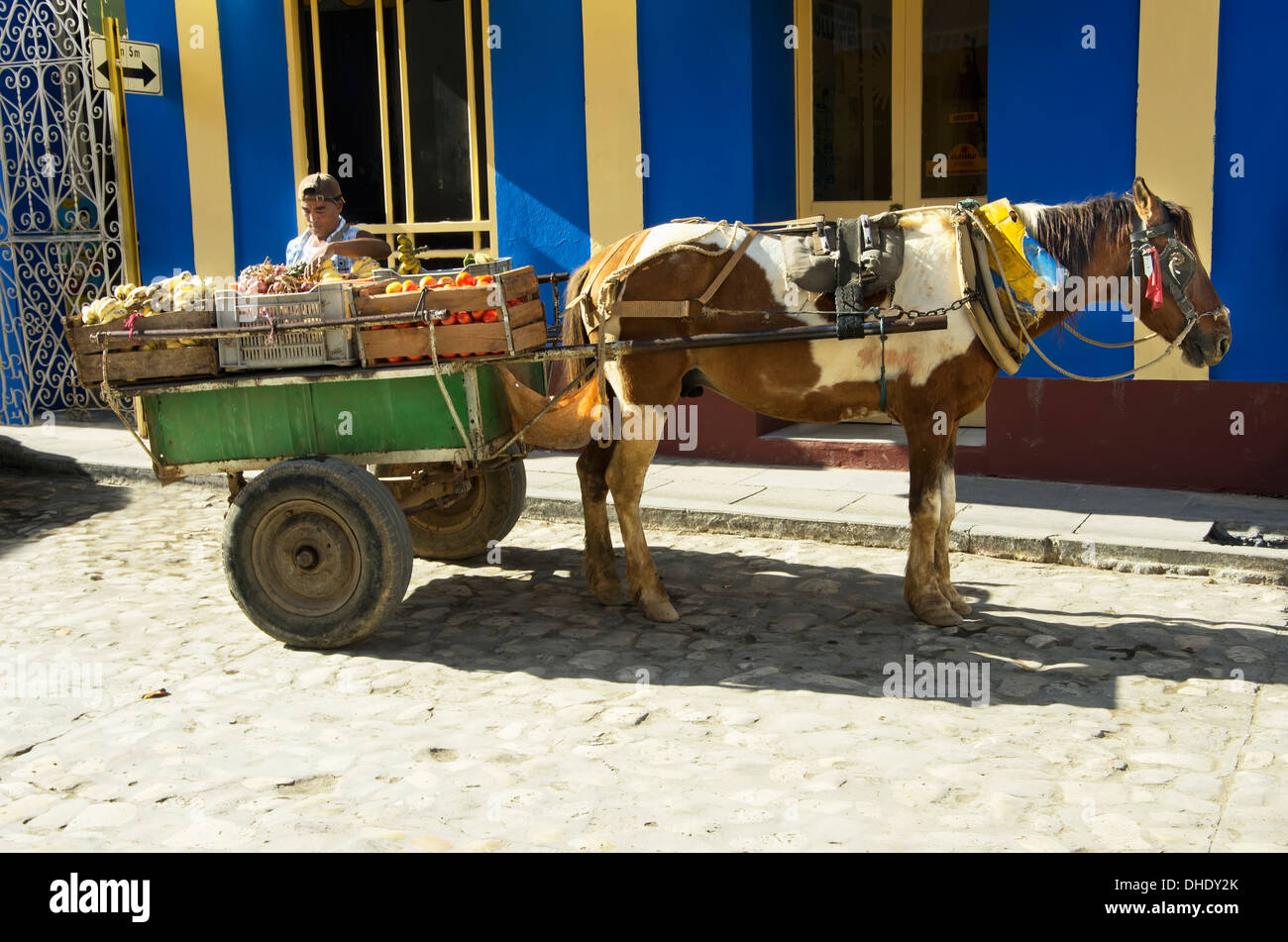 Pinto Horse steht Rädern als Verkäufer von Produkten für Kunden durch seine zwei wartet geduldig grüne Wagen; Trinidad, Sancti Spiritus Stockfoto