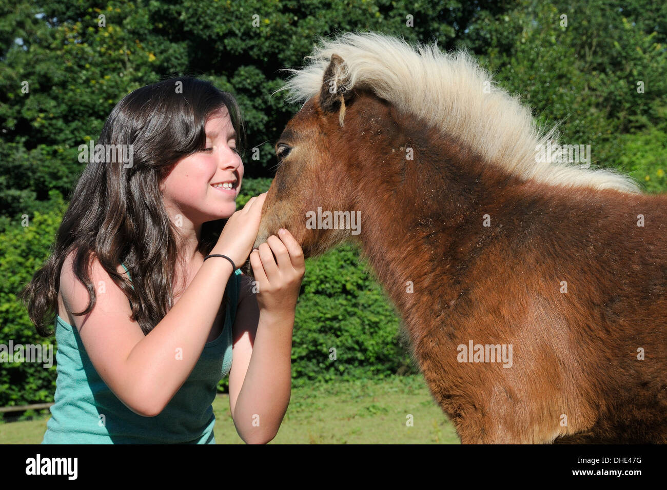 Mädchen lächelnd, als sie den Kopf von einem American Miniature Pferd (Equus Caballus) Fohlen, Wiltshire, UK streichelt. Stockfoto
