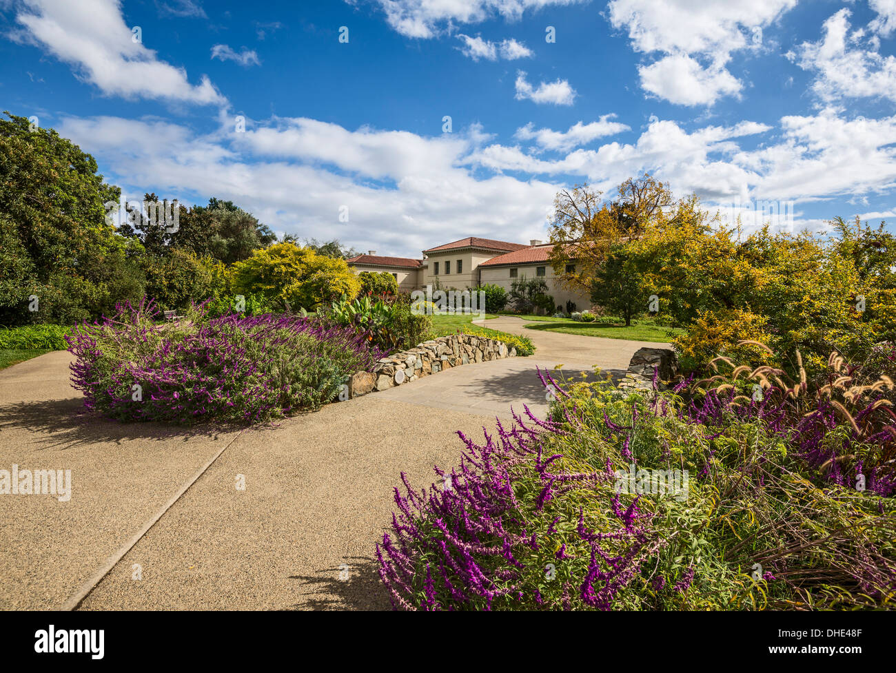 Shakespeare-Garten in voller Blüte an der Huntington Library and Botanical Gardens in San Marino, Kalifornien. Stockfoto