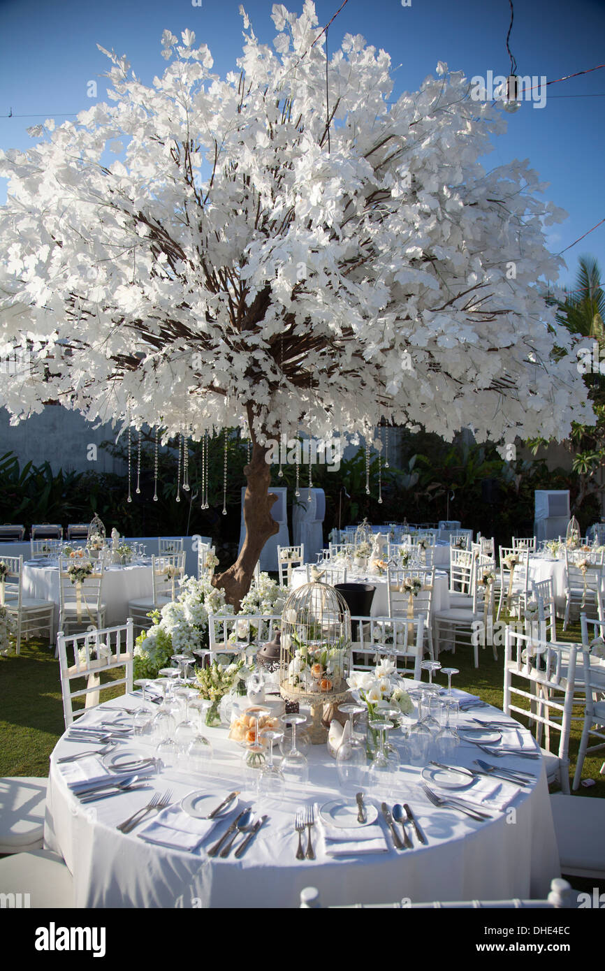 Hochzeit Empfang Dekoration Tisch Stuhl Bäume essen Essen Platten Geschirr Dekor Kunstgewerbe künstlerische geschickte Gestaltung Tag Stockfoto
