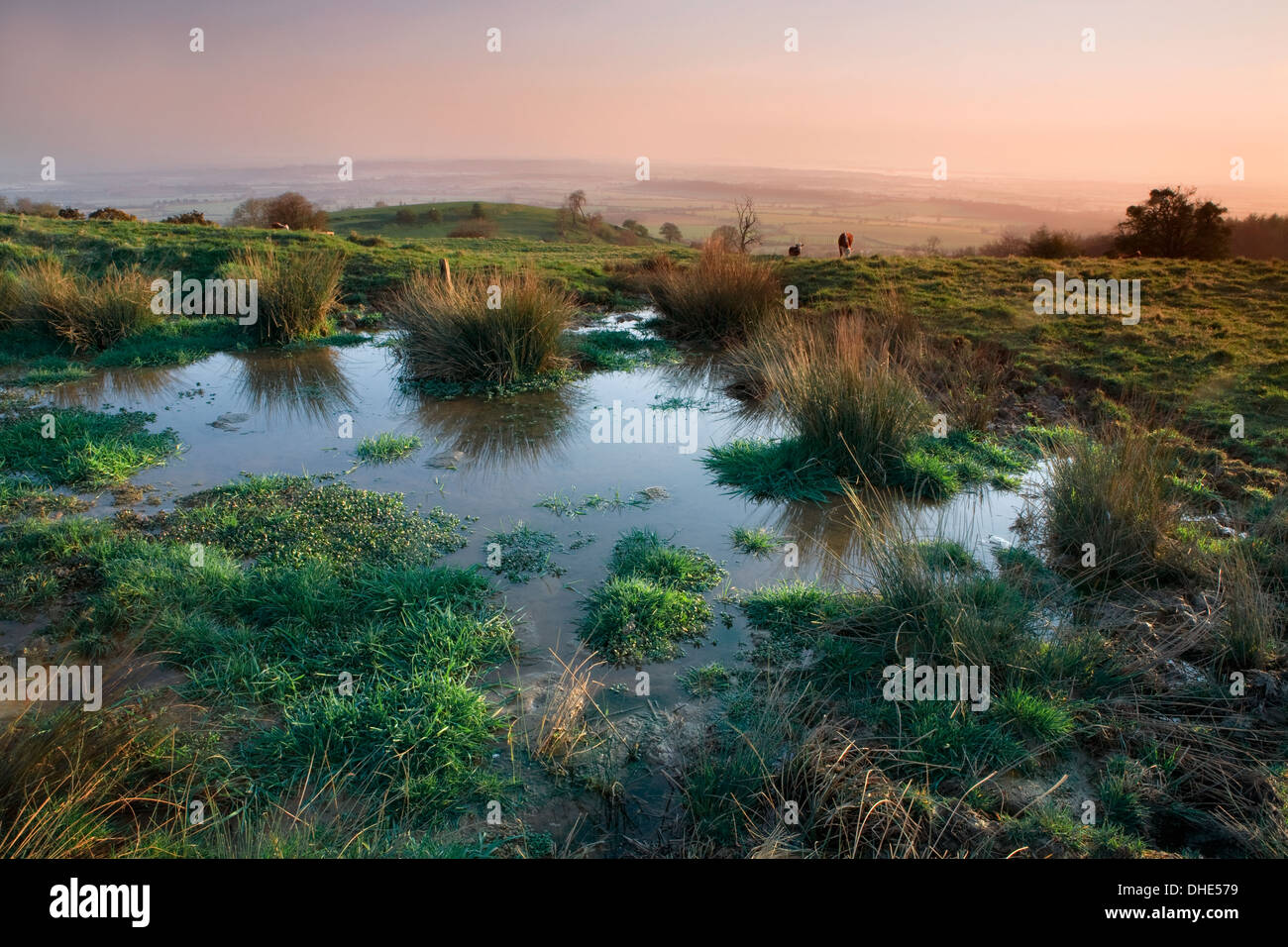 Ein Teich in einem Feld auf Bredon Hill mit Blick auf die Evesham Vale bei Sonnenaufgang. Stockfoto