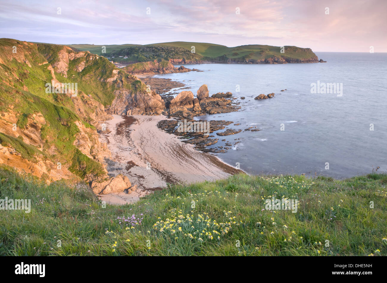 Hoffe Sie Cove, South Devon, England, bei Sonnenuntergang in einem horizontalen Querformat. Niere Wicke, Anthyllis Vulneraria und Sparsamkeit Stockfoto