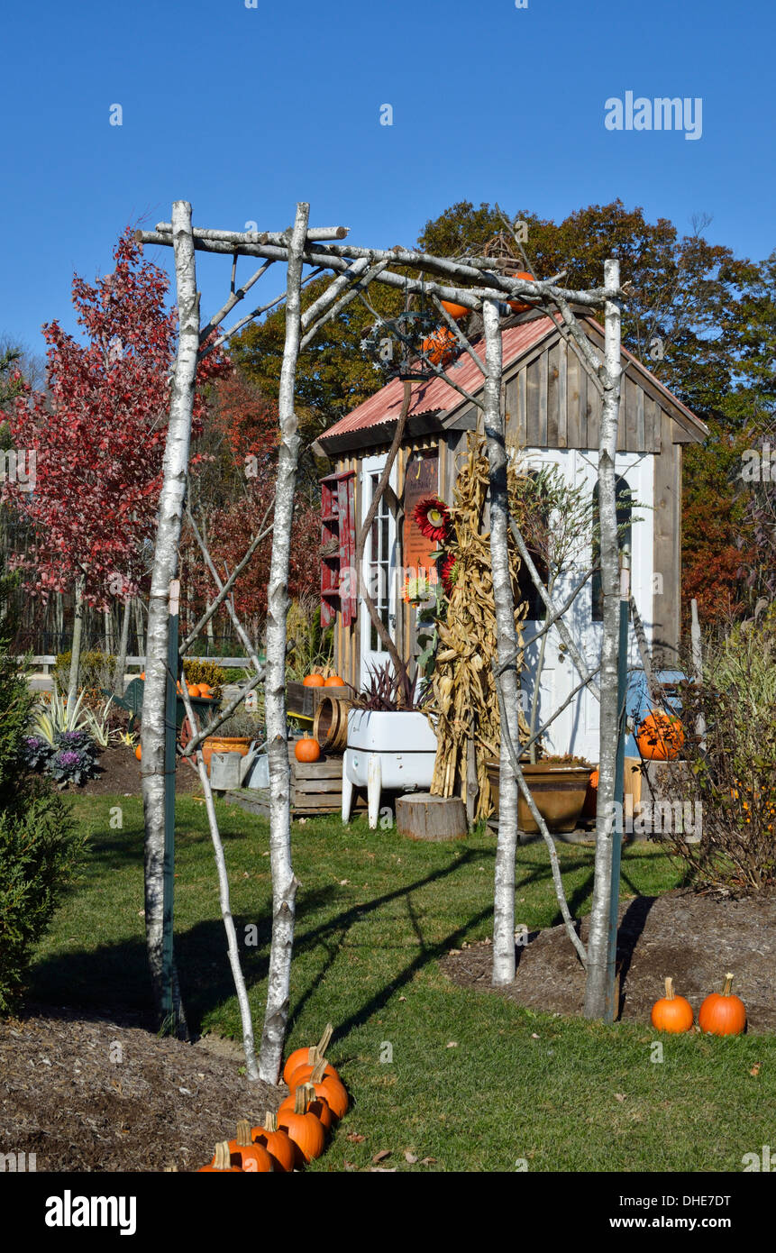 Herbst Scenic Holz Hütte ist mit orange Kürbisse, Blumen und Vogelscheuche für Halloween dekoriert. USA Stockfoto