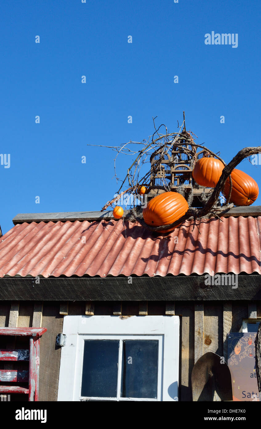 Herbst neu-England malerisch mit Kürbissen und Reben auf dem Dach der Halle. Stockfoto