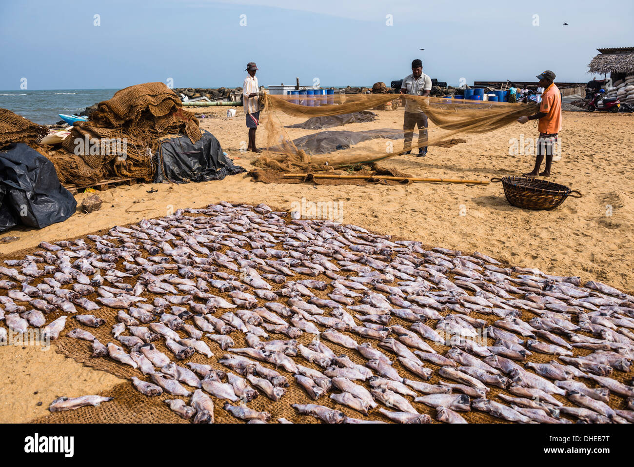 Fischer austrocknen Fischernetze in Negombo Fischmarkt (Lellama Fischmarkt), Negombo, Westküste, Sri Lanka, Asien Stockfoto