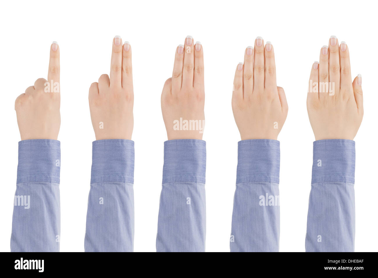 Zarte Frauenhand zeigt mit den Fingern von eins bis fünf auf einem weißen Hintergrund. Stockfoto