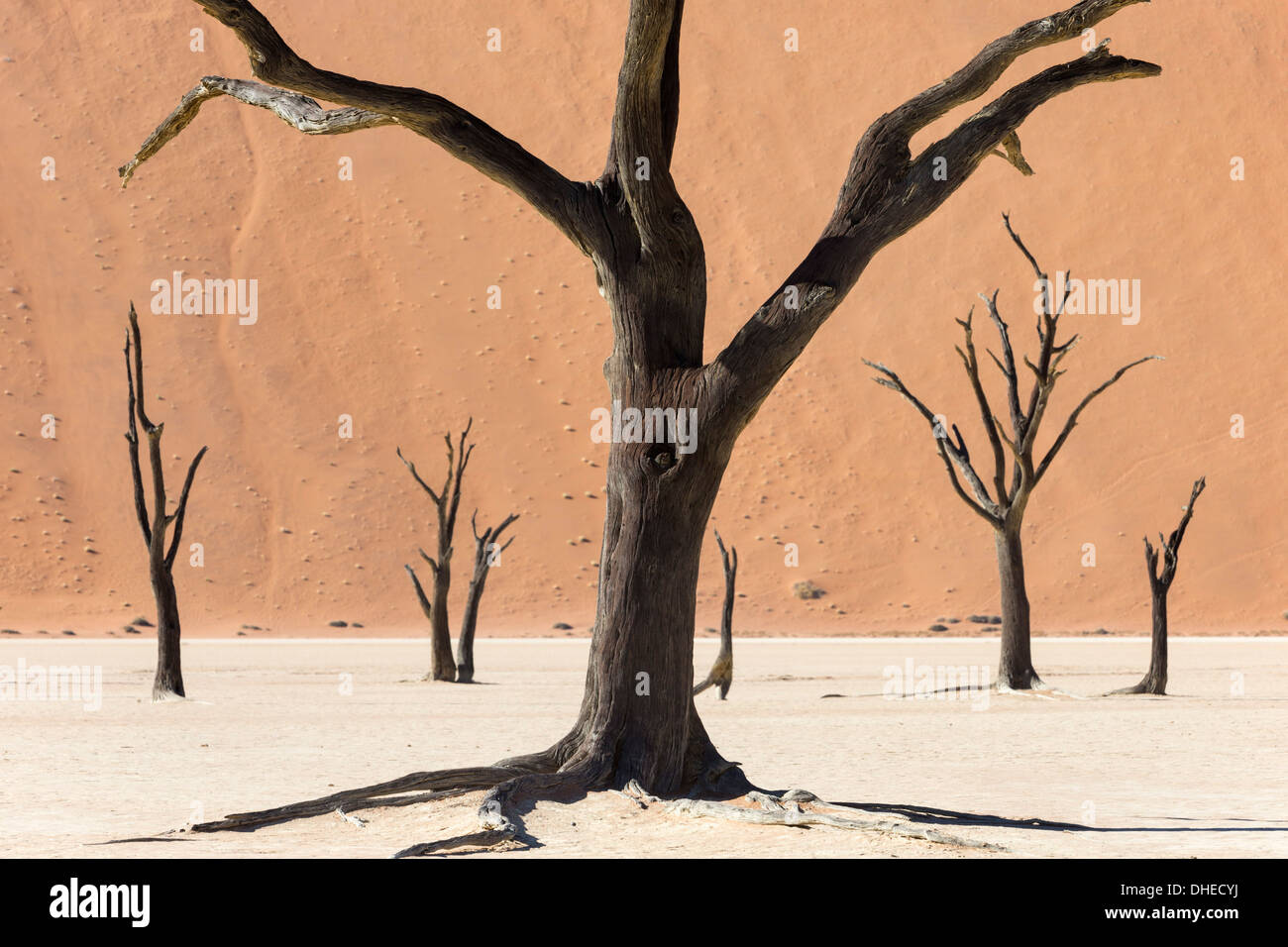 Dead Vlei, Namib-Wüste, Namibia, Afrika Stockfoto
