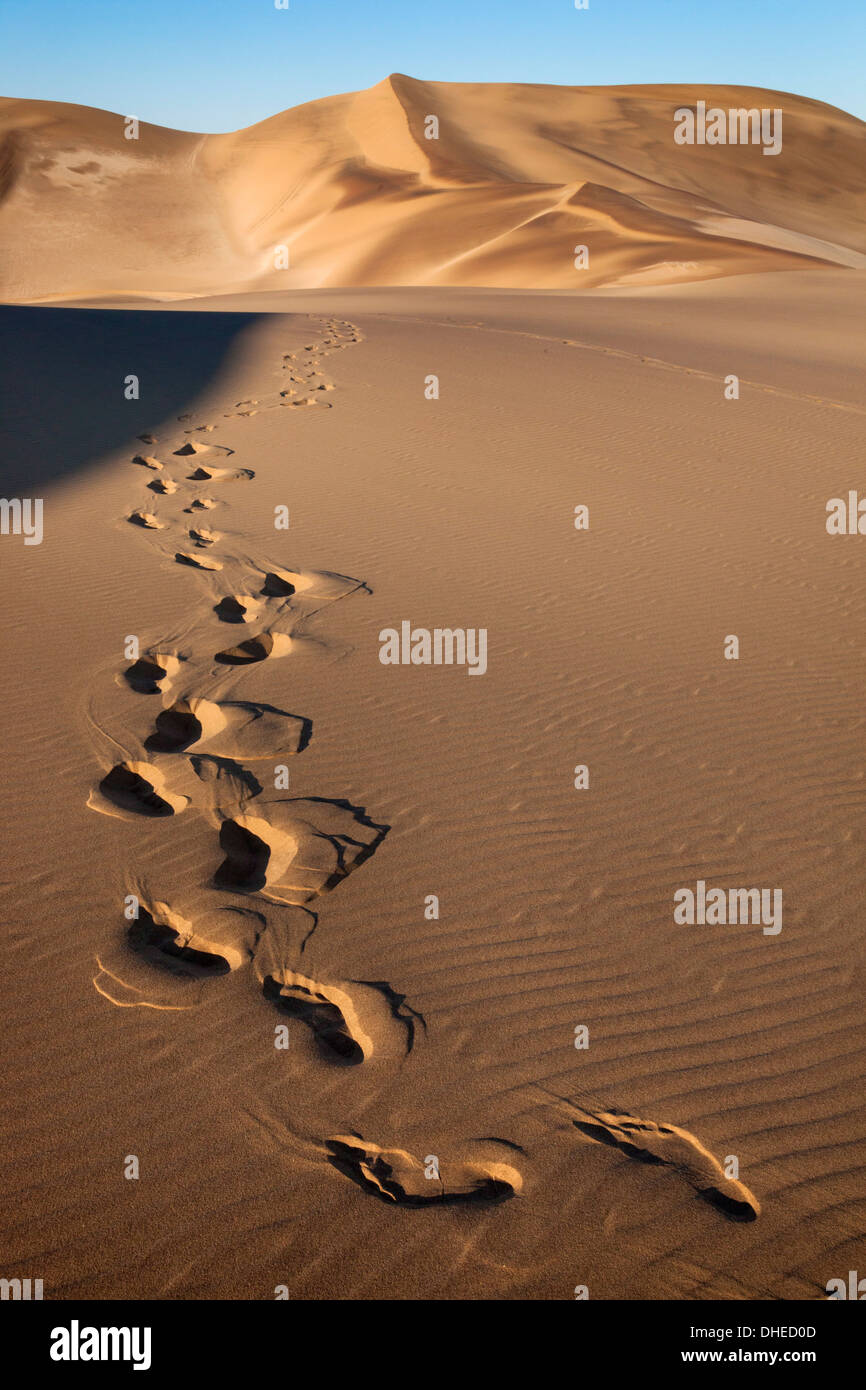 Fußabdrücke auf Sanddünen in der Nähe von Swakopmund, Dorob Nationalpark, Namibia, Afrika Stockfoto