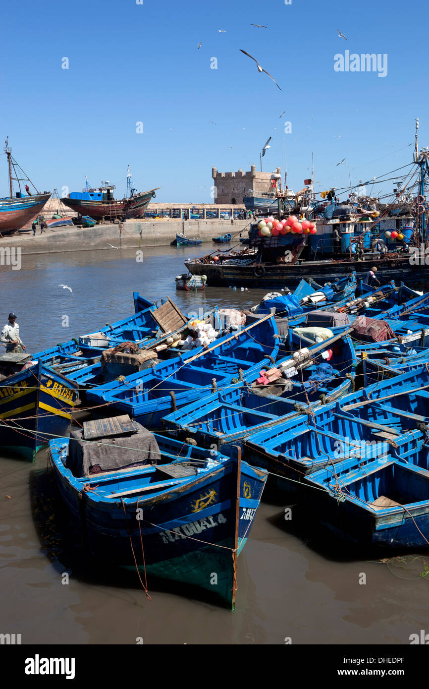 Fischereihafen mit traditionellen Booten vor der alten Festung, Küste Essaouira, Atlantik, Marokko, Nordafrika, Afrika Stockfoto