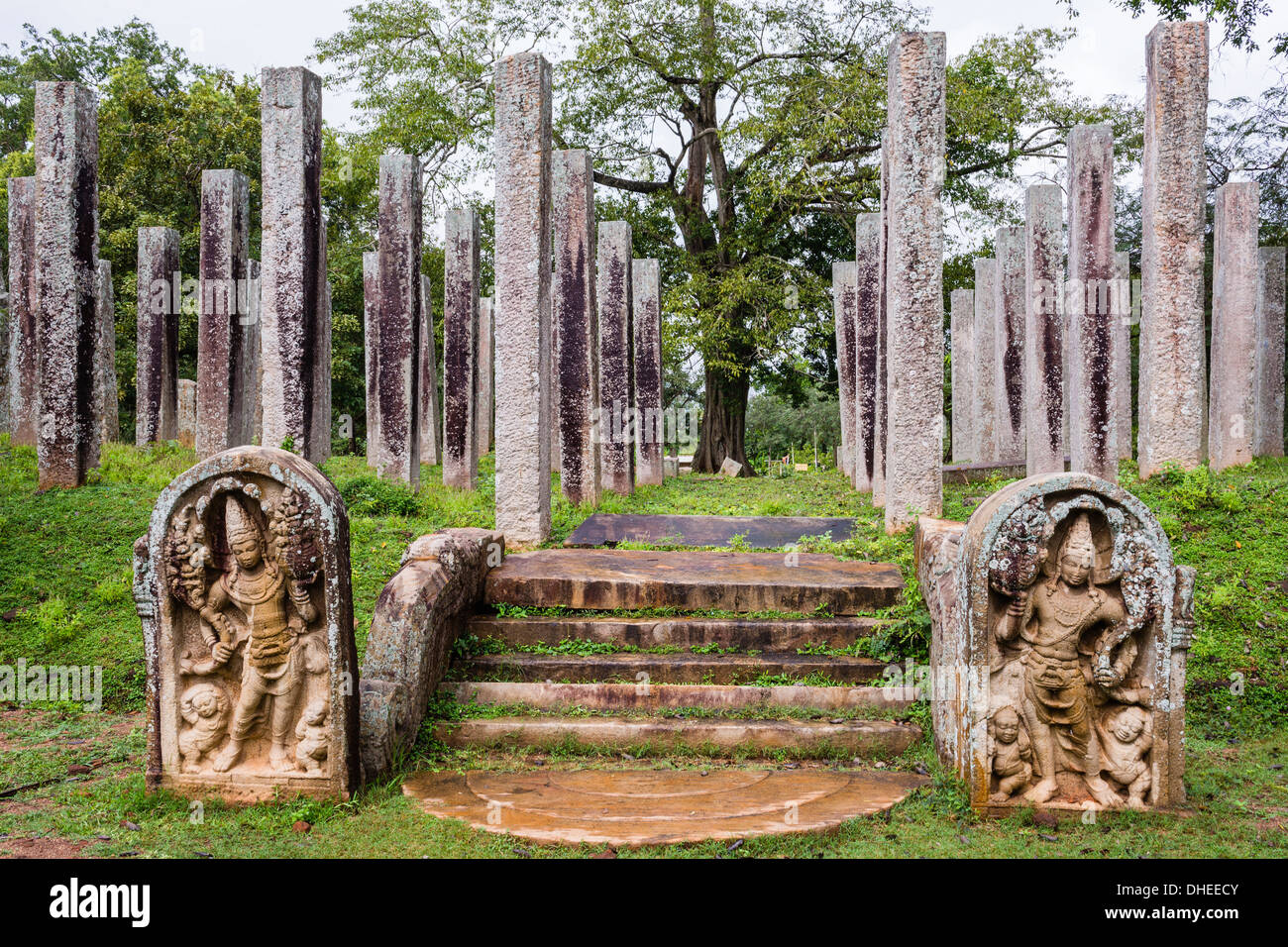 Ruinen von Steinsäulen an Thuparama Dagoba im Mahavihara, heilige Stadt Anuradhapura, UNESCO, Sri Lanka Stockfoto