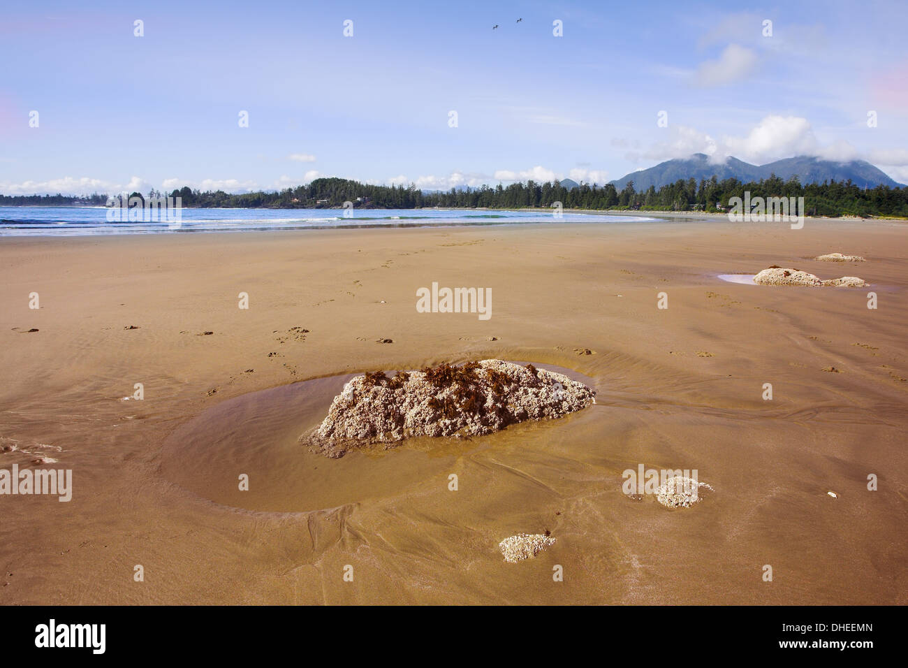 Malerische Sanddünen der Insel Vancouver Stockfoto