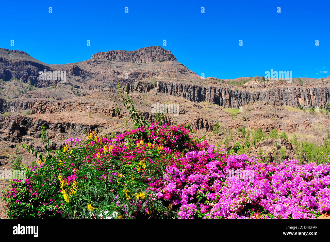 Blick auf die Vulkanlandschaft in Fataga, Gran Canaria, Spanien Stockfoto