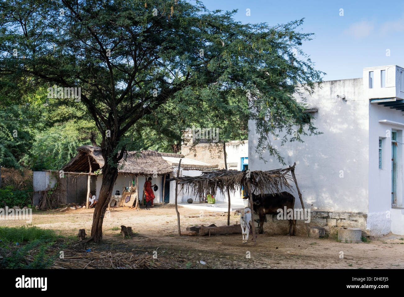 Ländliche südindischen Dorf. Andhra Pradesh, Indien Stockfoto