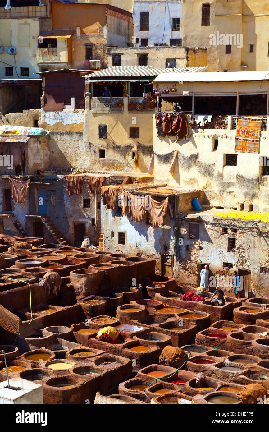 Die Gerbereien, Medina (Altstadt), Fes, Marokko, Nordafrika, Afrika Stockfoto