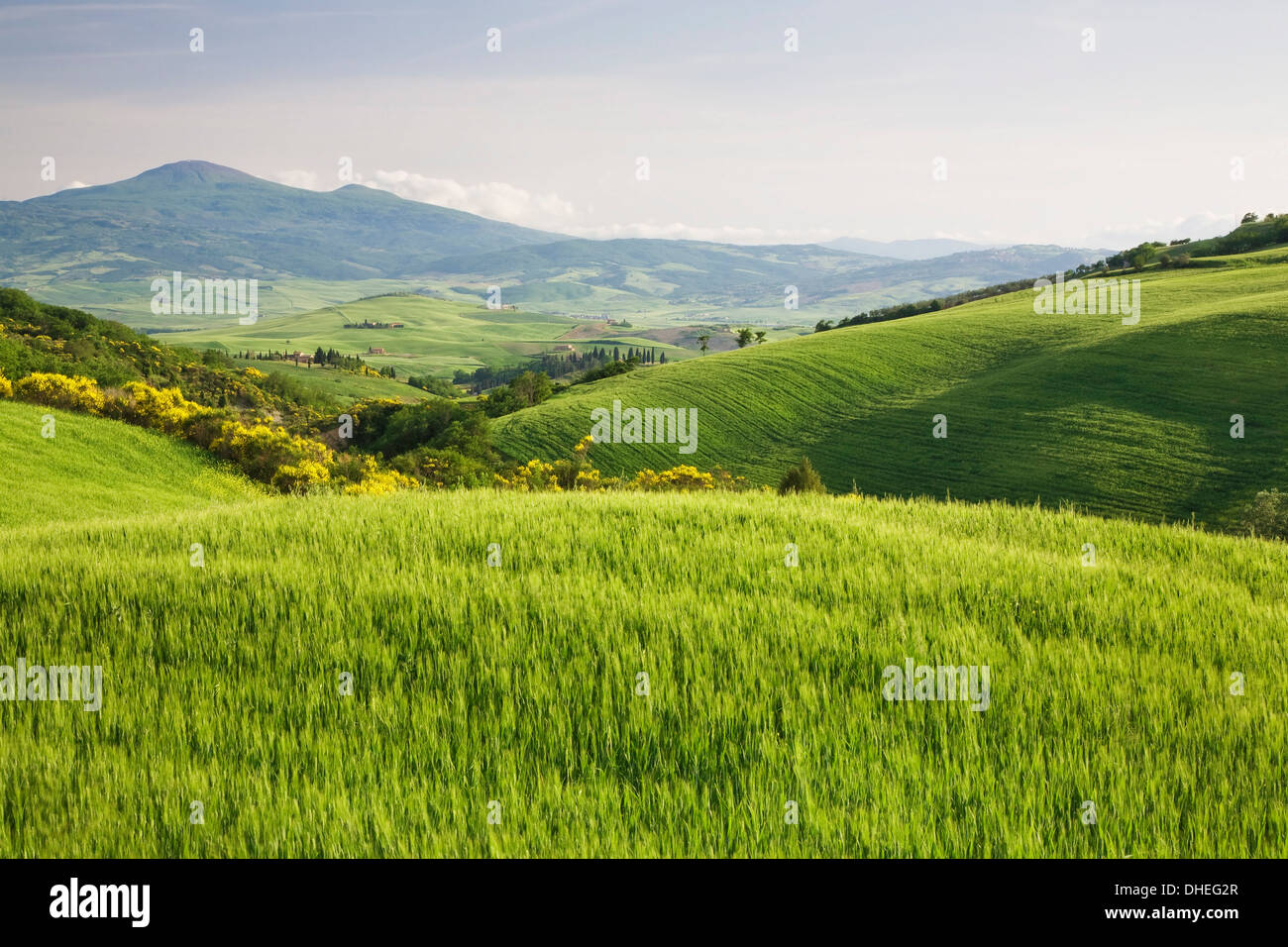 Hügelige Landschaft Val d ' Orcia, UNESCO-Weltkulturerbe mit Monte Amiata im Hintergrund, Provinz Siena, Toskana, Italien Stockfoto