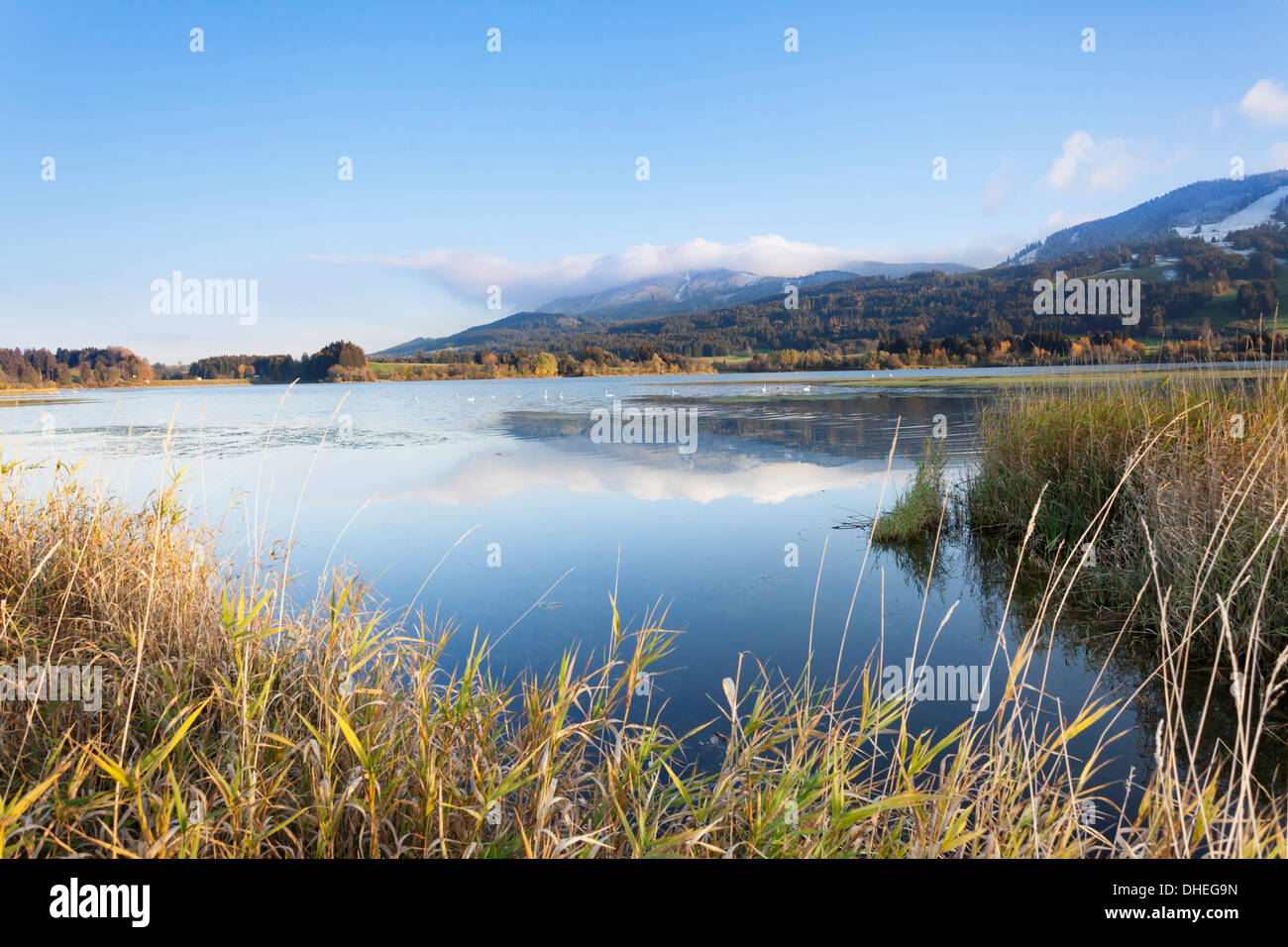 Gruntensee im Herbst, Ostallgau, Allgäu, Allgäu-Alpen, Bayern, Deutschland, Europa Stockfoto