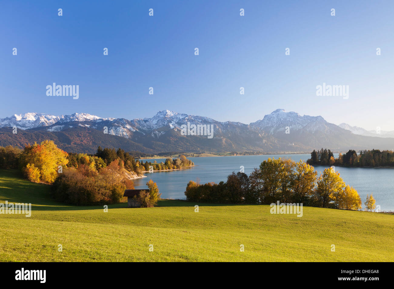 Forggensee See und Allgäu-Alpen, Füssen, Ostallgau, Allgäu, Allgäu-Alpen, Bayern, Deutschland, Europa Stockfoto