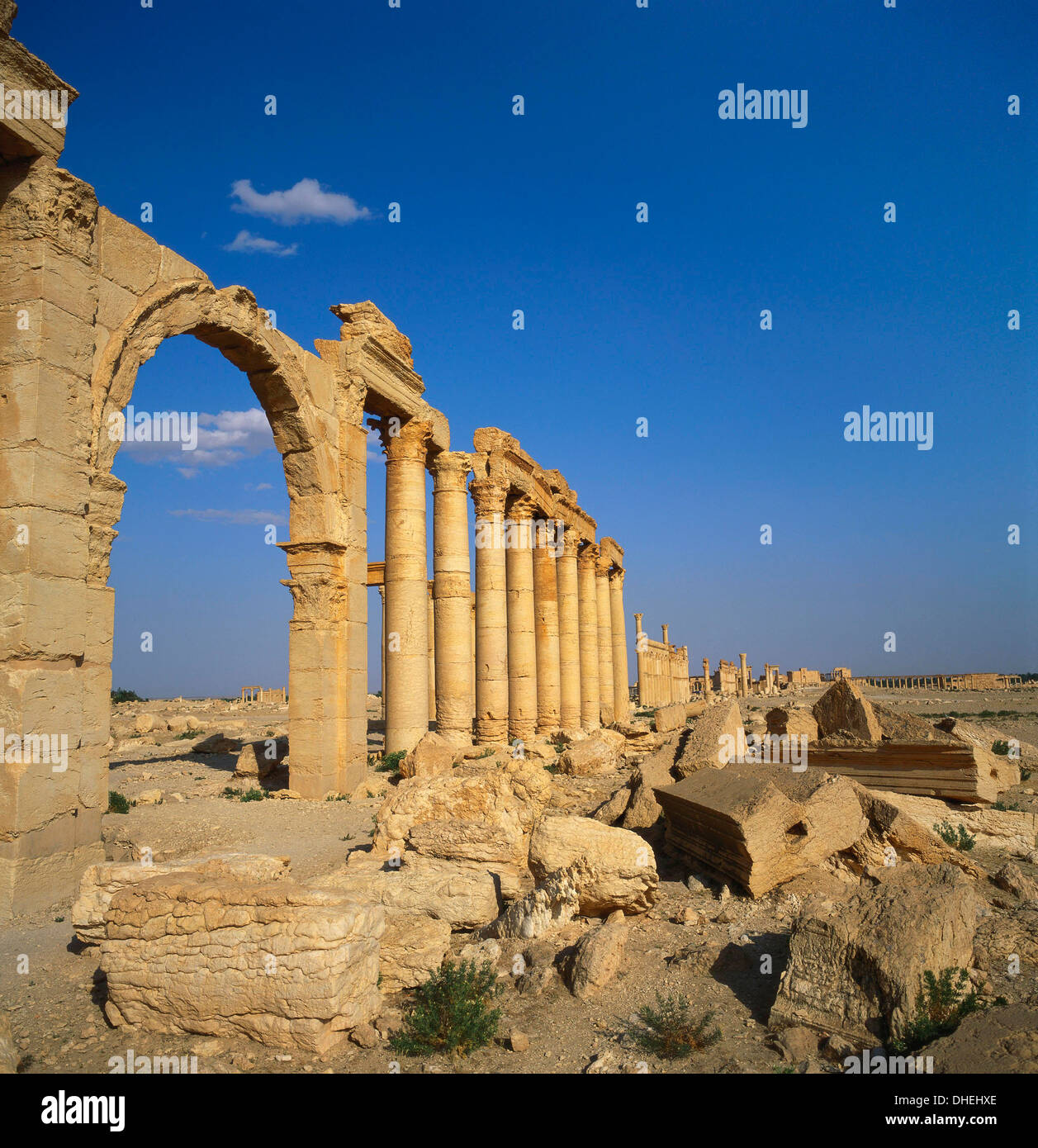 Klassischen Säulen, Palmyra, Syrien Stockfoto