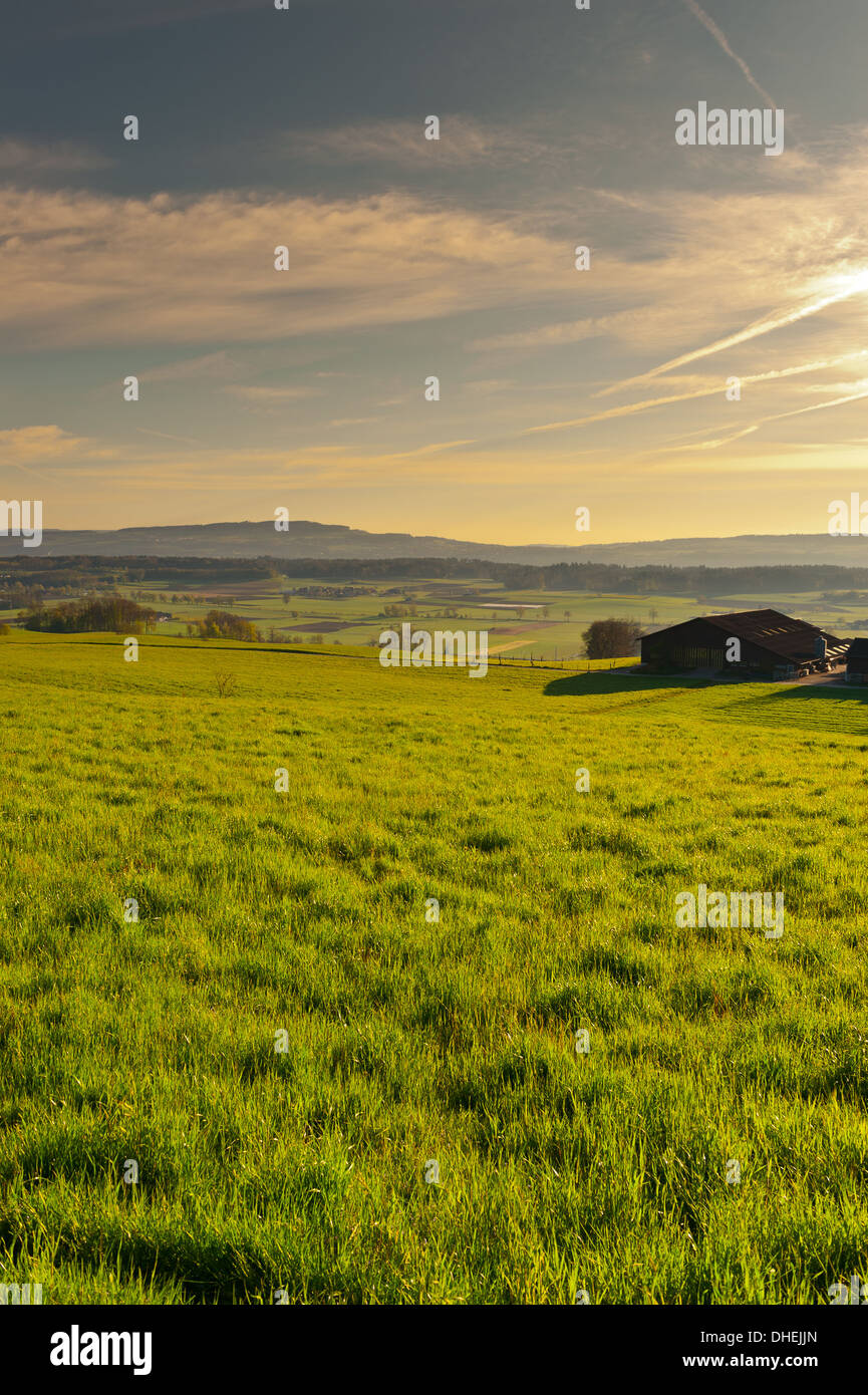 Morgennebel Stockfoto