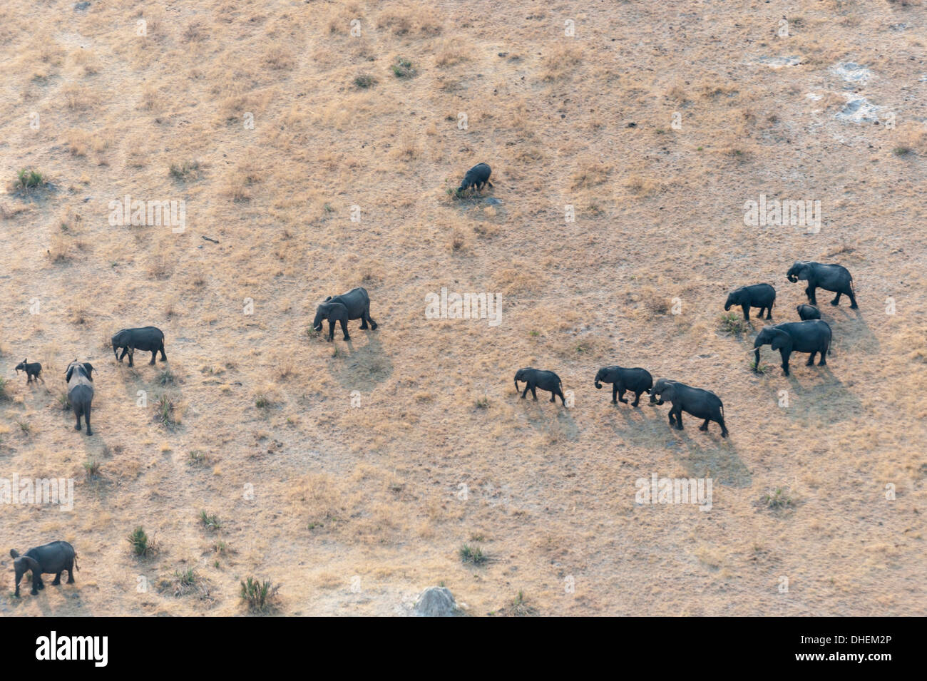 Luftaufnahme des Okavango Delta, Botswana, Afrika Stockfoto