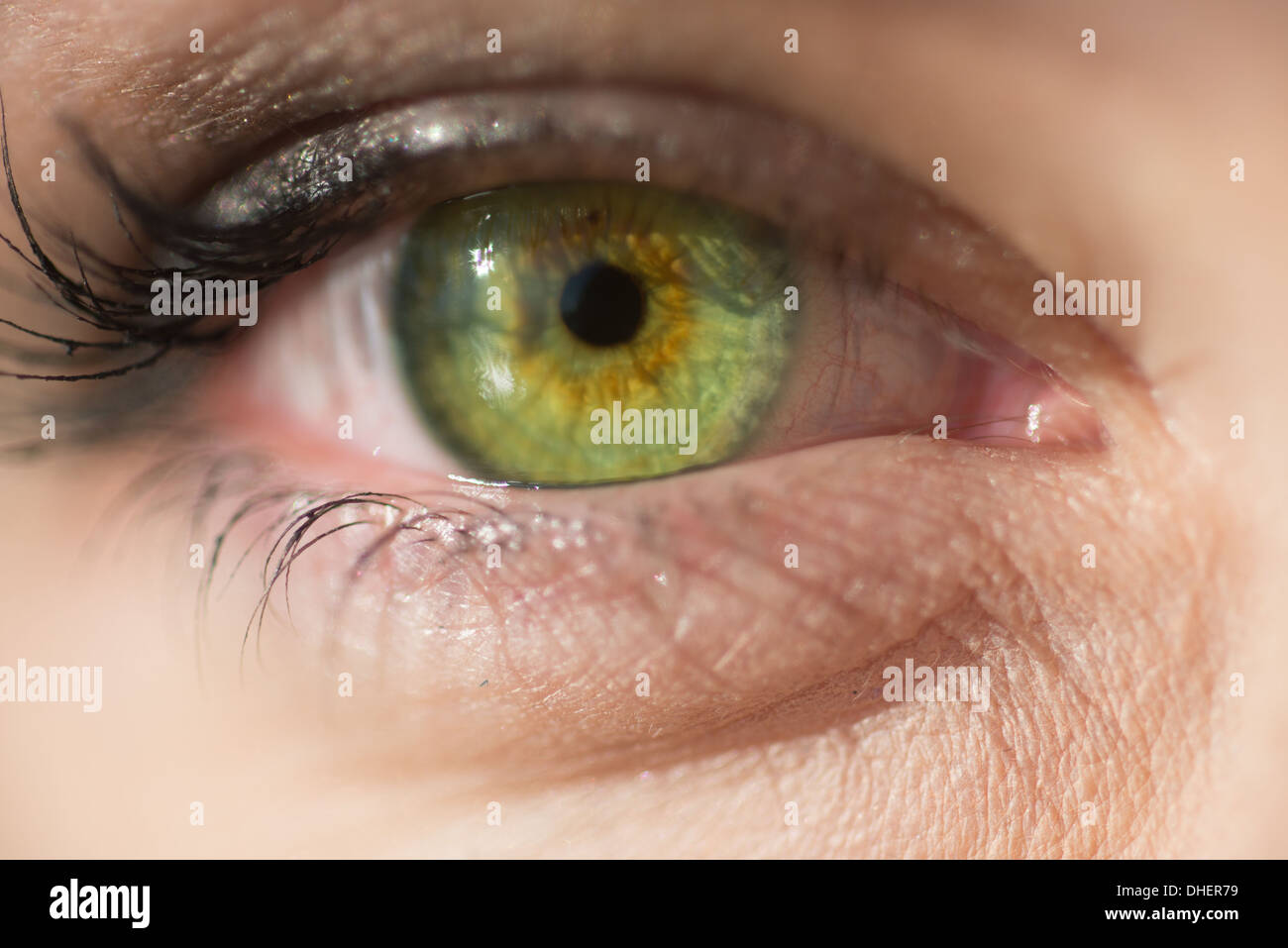 Grüne Augen Frau Stockfoto