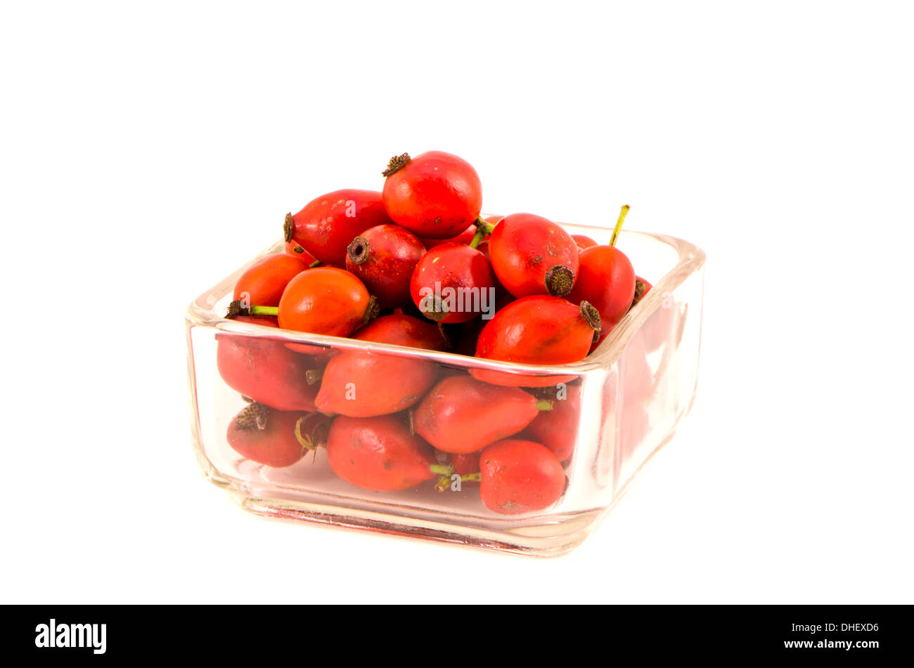 Früchte der wilden Heckenrose in Glasplatte isoliert auf weißem Hintergrund Stockfoto