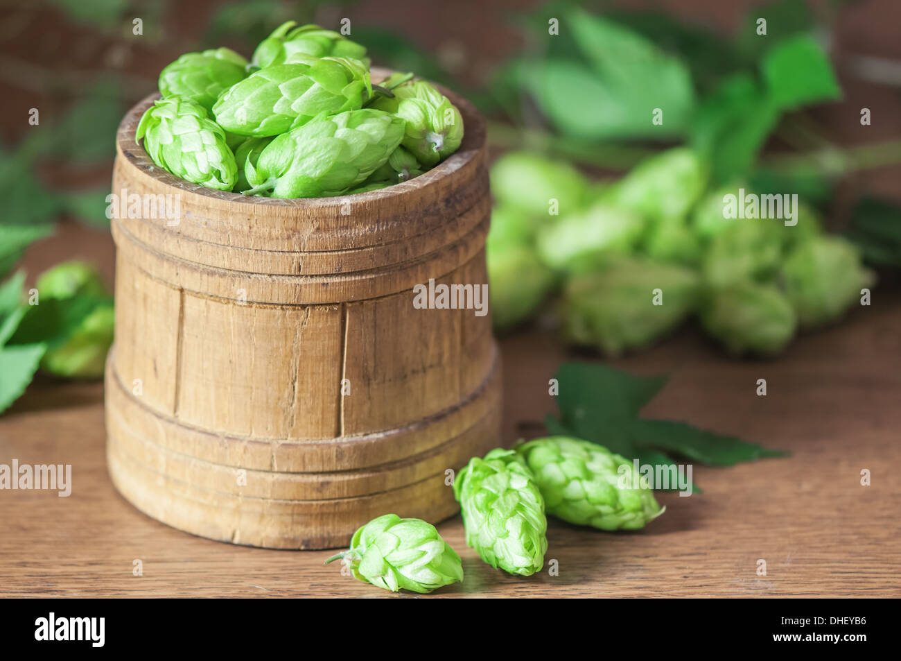 Hop-on-Holzfaß closeup Stockfoto