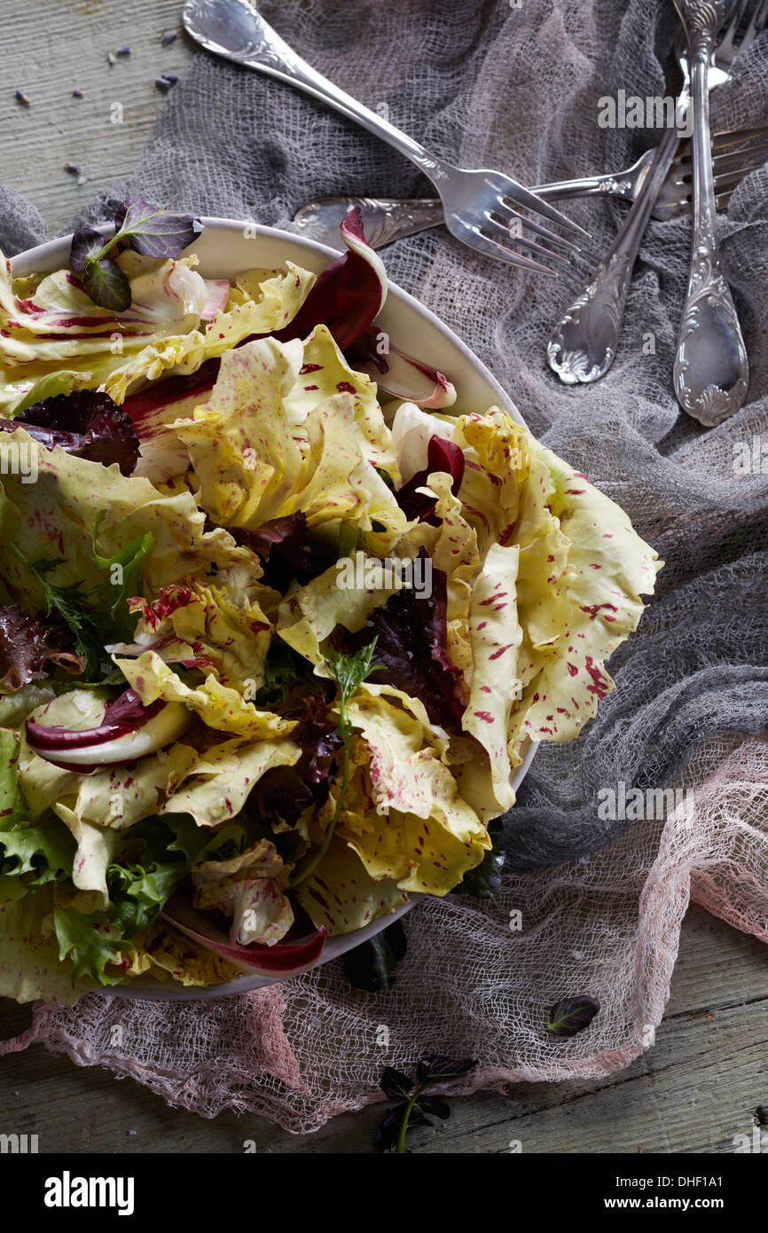 Stillleben mit gelben Radicchio-Salat Stockfoto