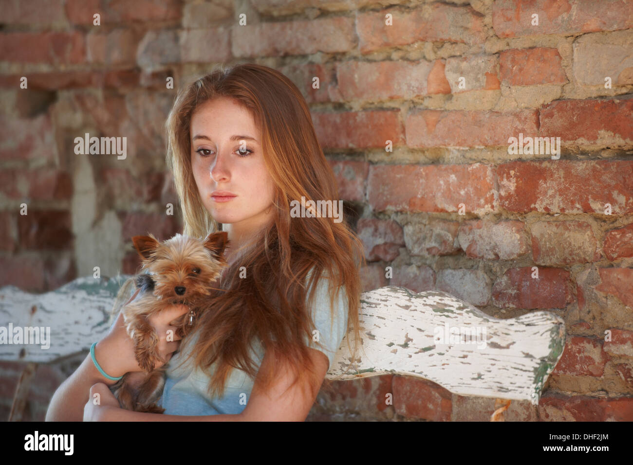 Teenager-Mädchen auf Bank mit Hund Stockfoto