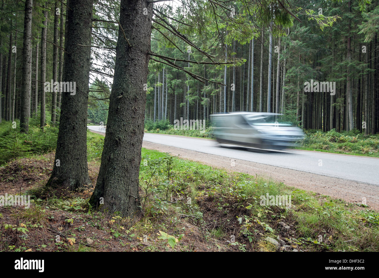 schwarzes Auto auf Waldweg Stockfoto