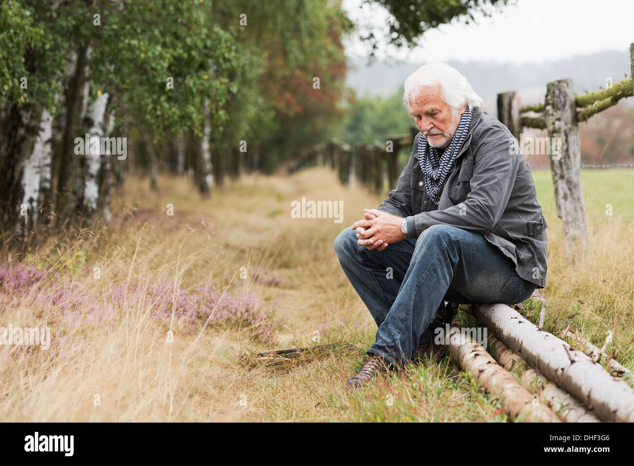 Ältere Mann sitzt auf log Stockfoto