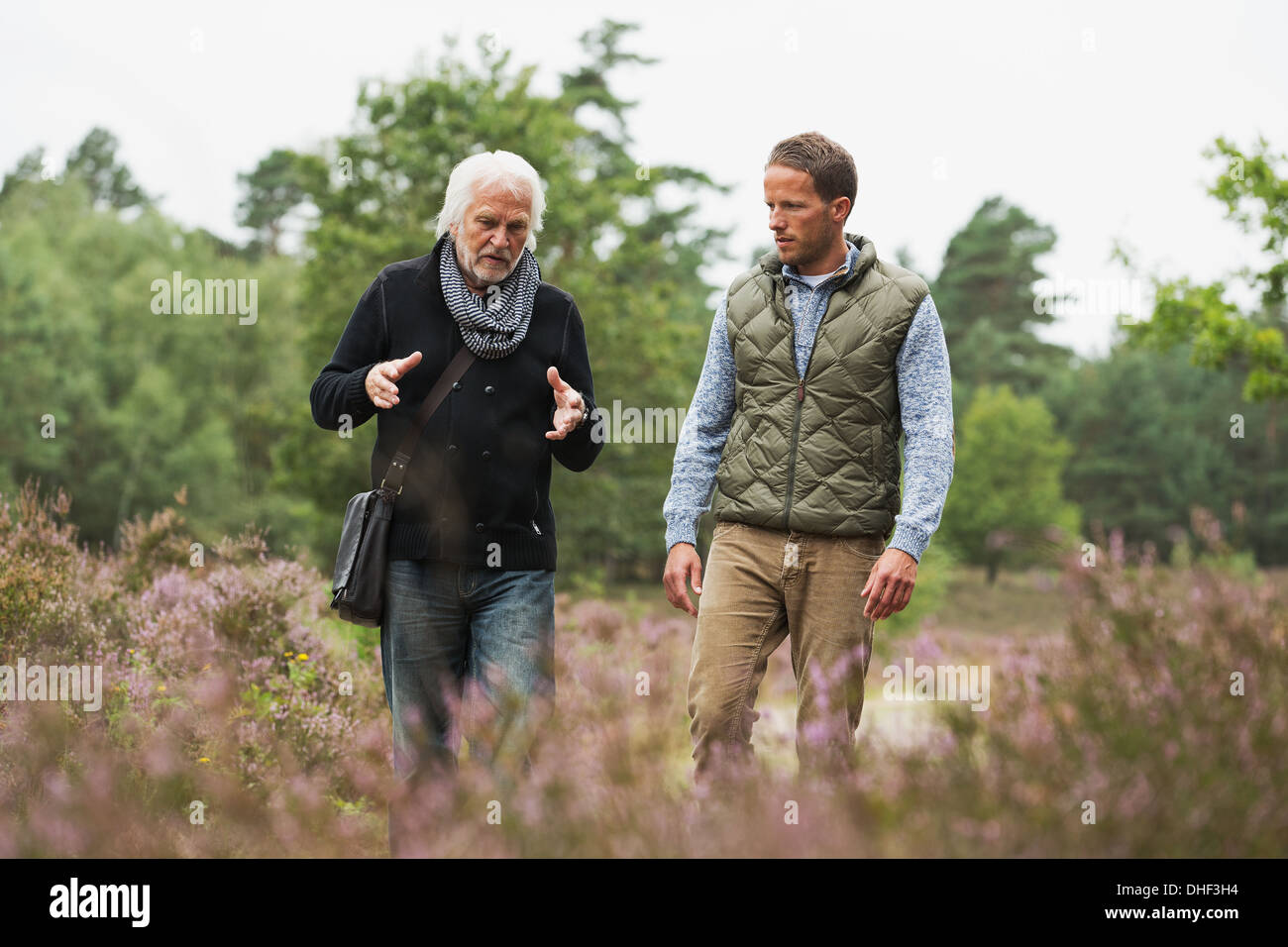 Vater und erwachsener Sohn zu Fuß Stockfoto