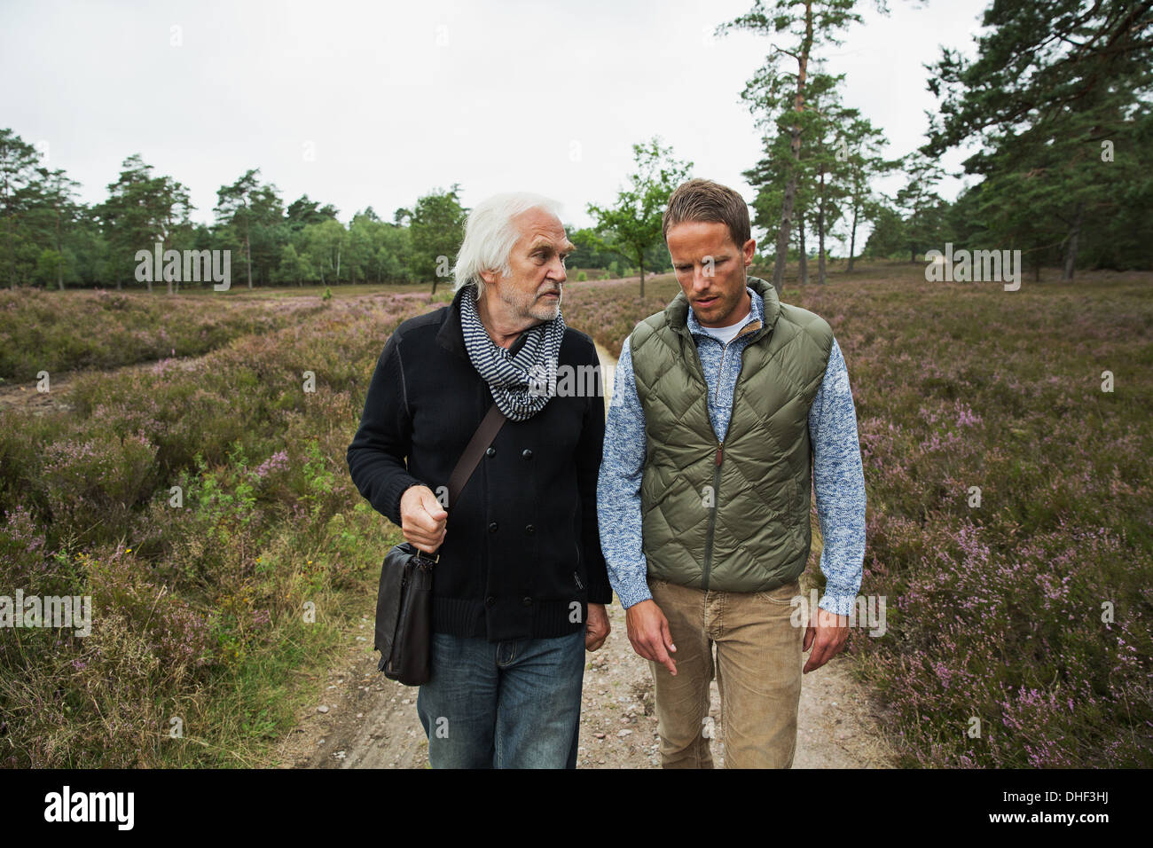 Vater und erwachsener Sohn zu Fuß auf Feldweg Stockfoto