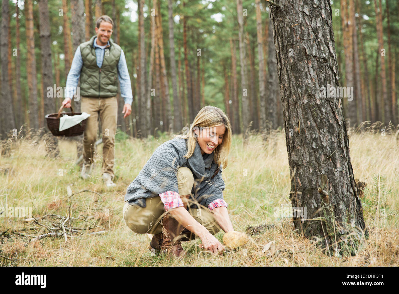 Mitte erwachsenes paar Futter für Pilze im Wald Stockfoto