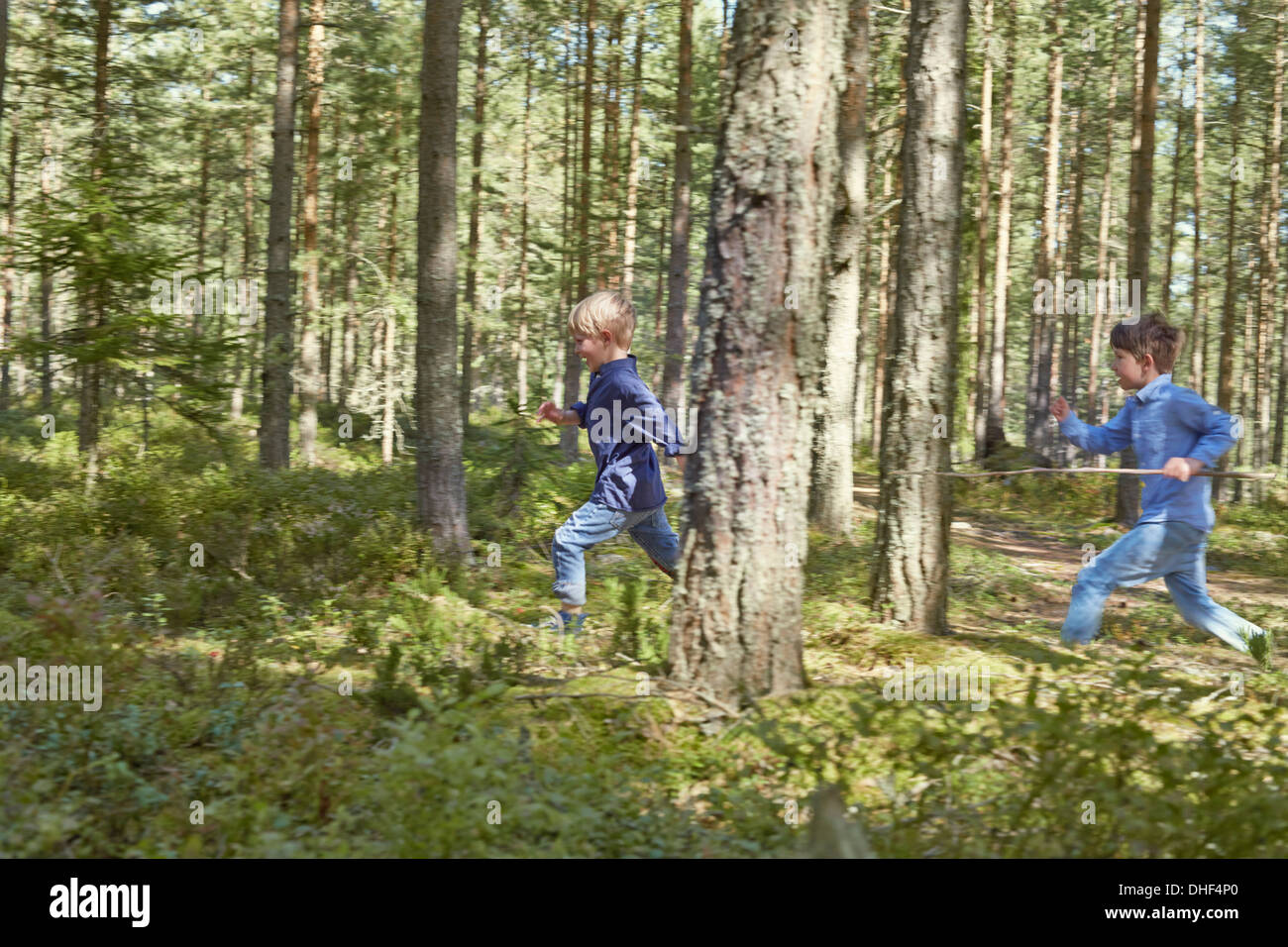 Brüder laufen durch Wald Stöcke tragen Stockfoto