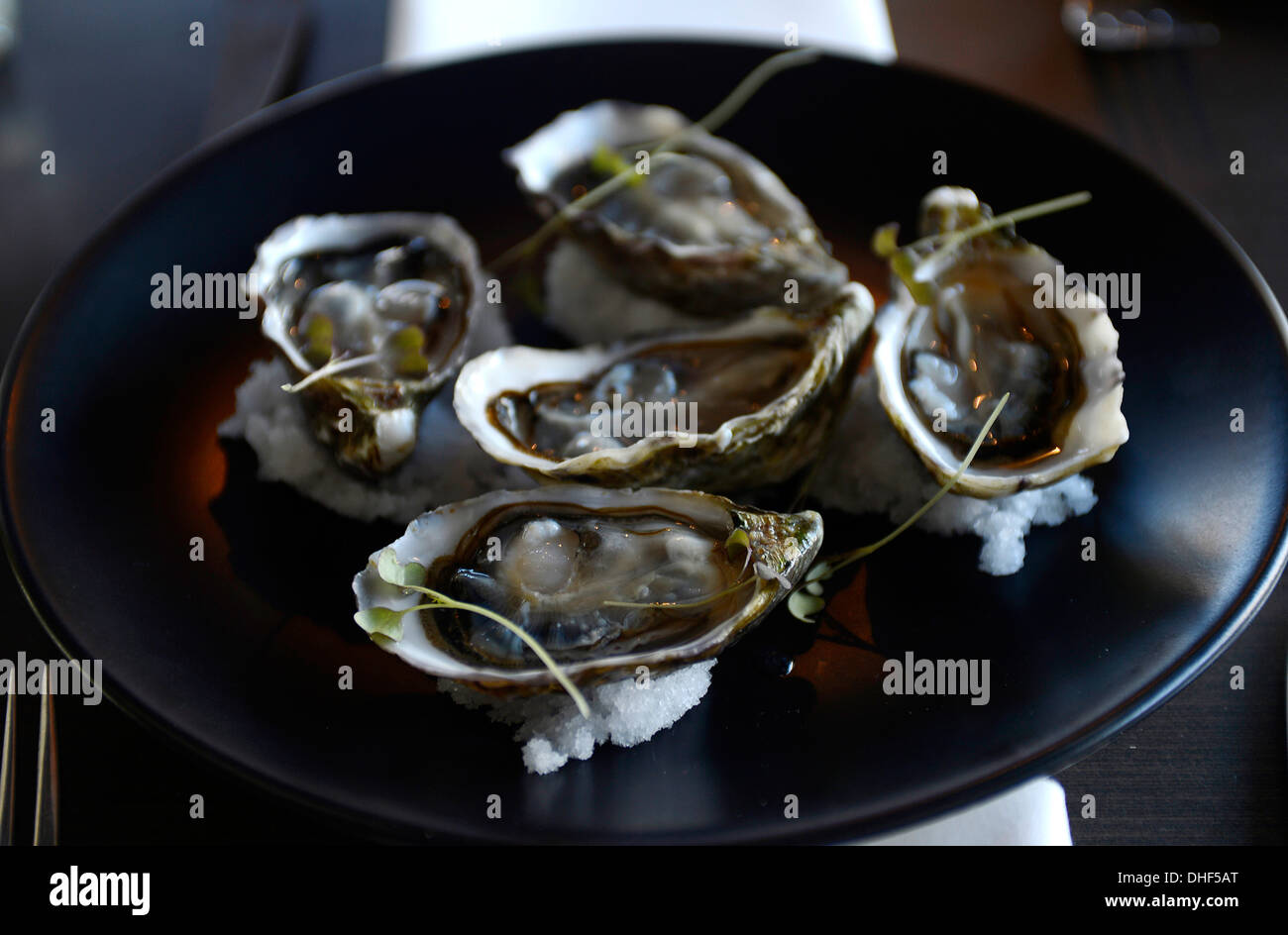 Still Life Gourmet-Essen, Teller mit Austern Stockfoto