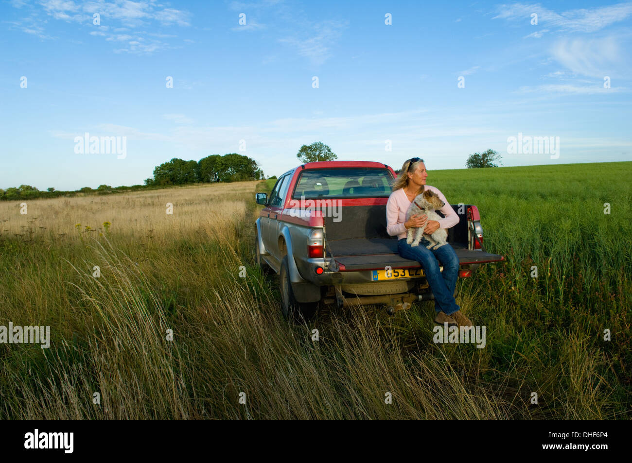 Frau sitzt auf Rückseite des abholen LKW in einem Feld hält einen Hund Stockfoto