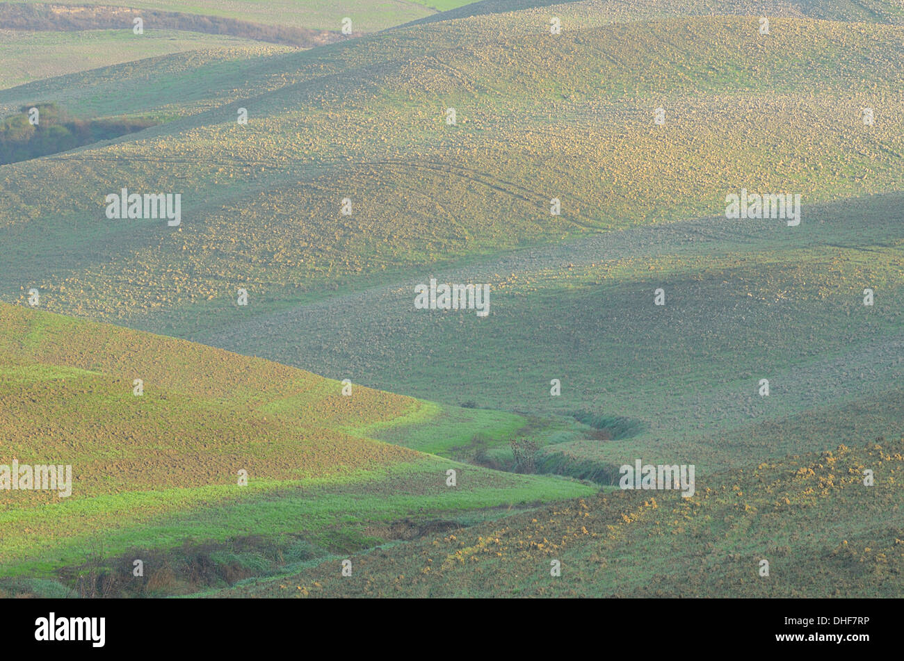 Gepflügtes Feld in der Toskana Stockfoto