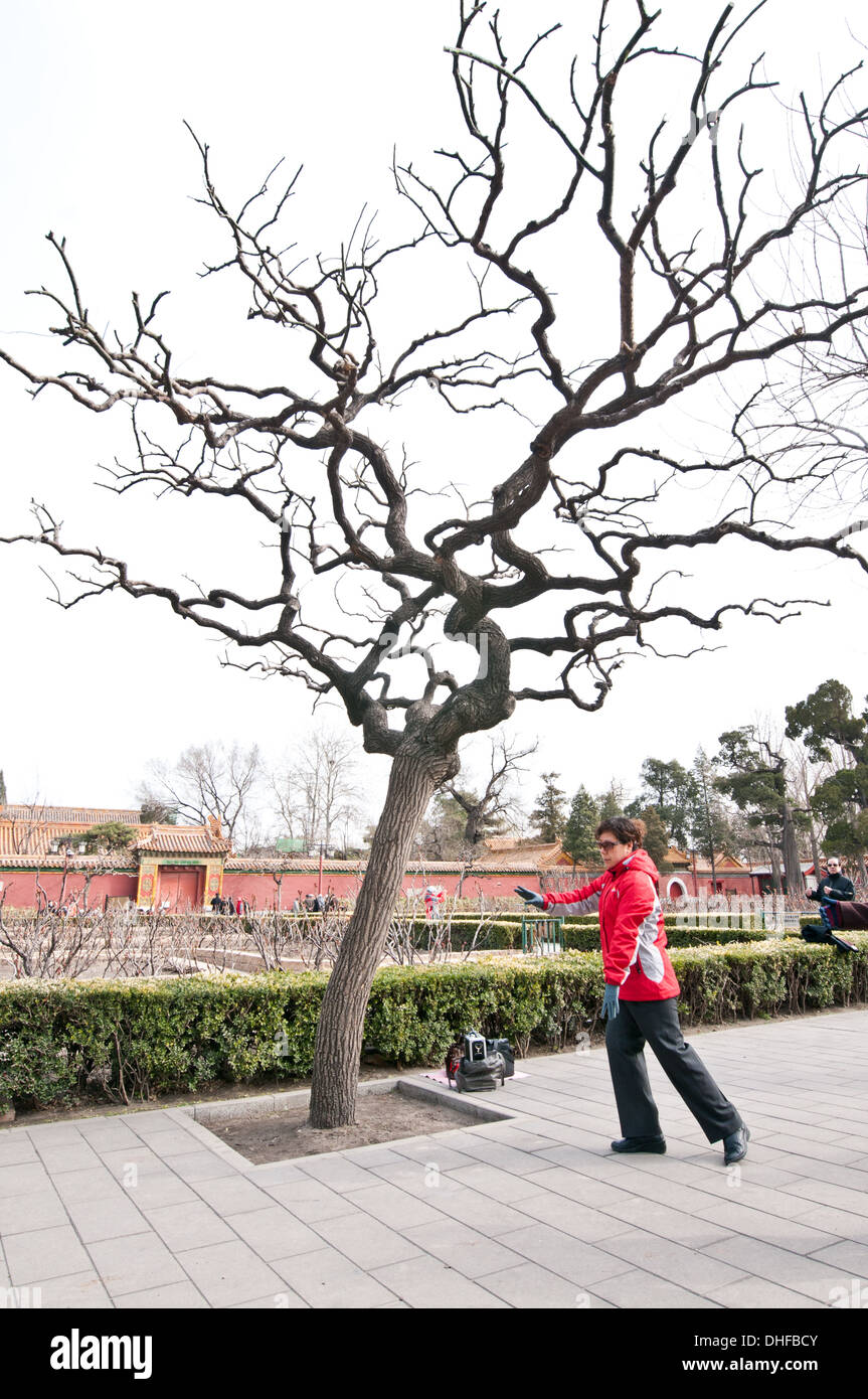 T ' ai Chi ch'uan (auch genannt Taijiquan oder Tai Chi Chuan) üben in Jingshan Park, Peking, China Stockfoto