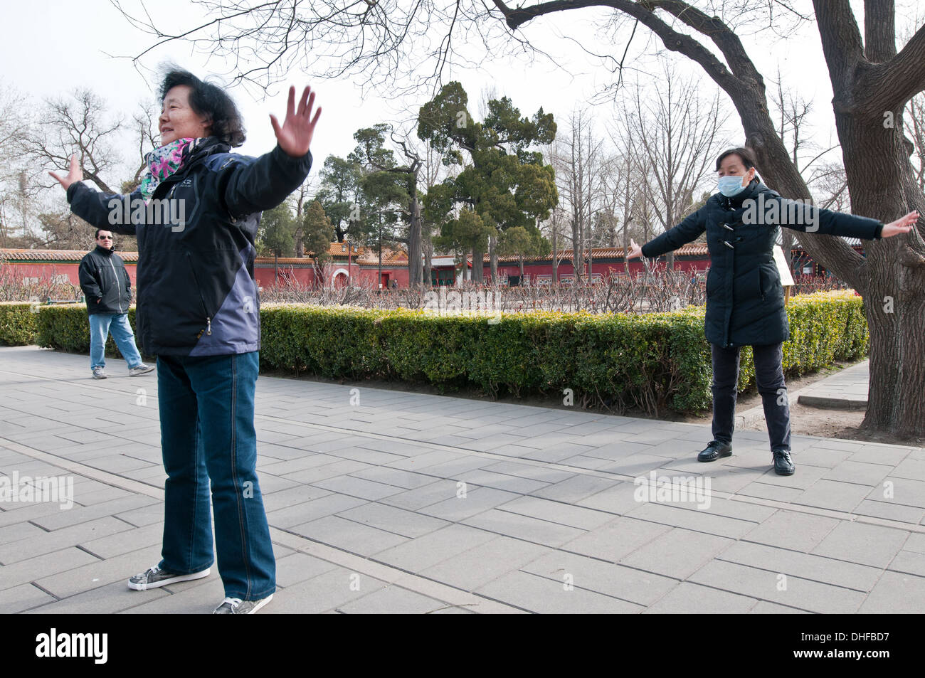 T ' ai Chi ch'uan (auch genannt Taijiquan oder Tai Chi Chuan) üben in Jingshan Park, Peking, China Stockfoto