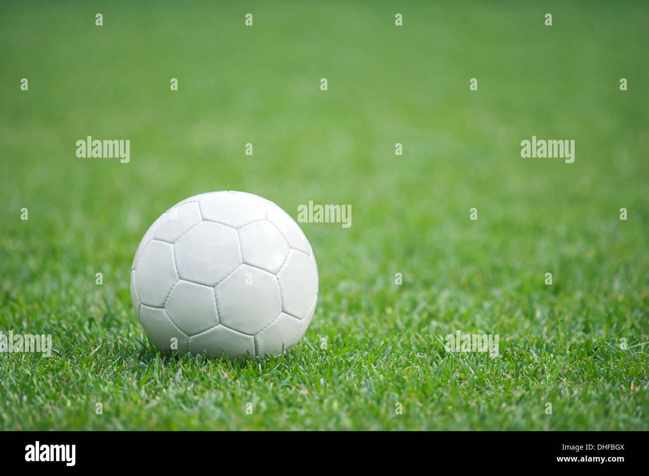 weiße Fußball auf dem grünen Rasen Stockfoto