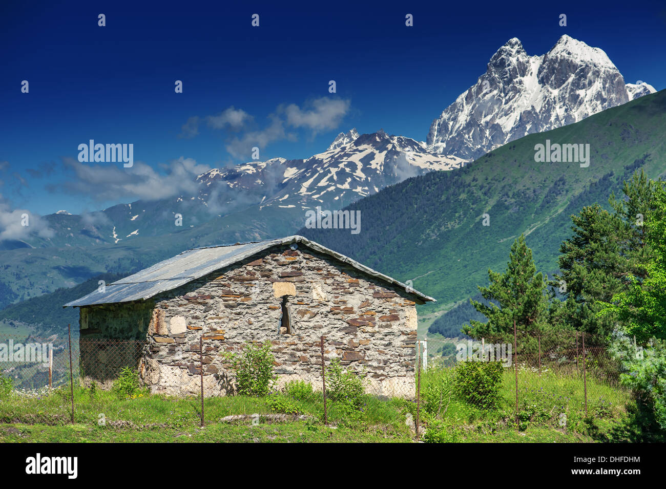 Berge im Sommer Stockfoto