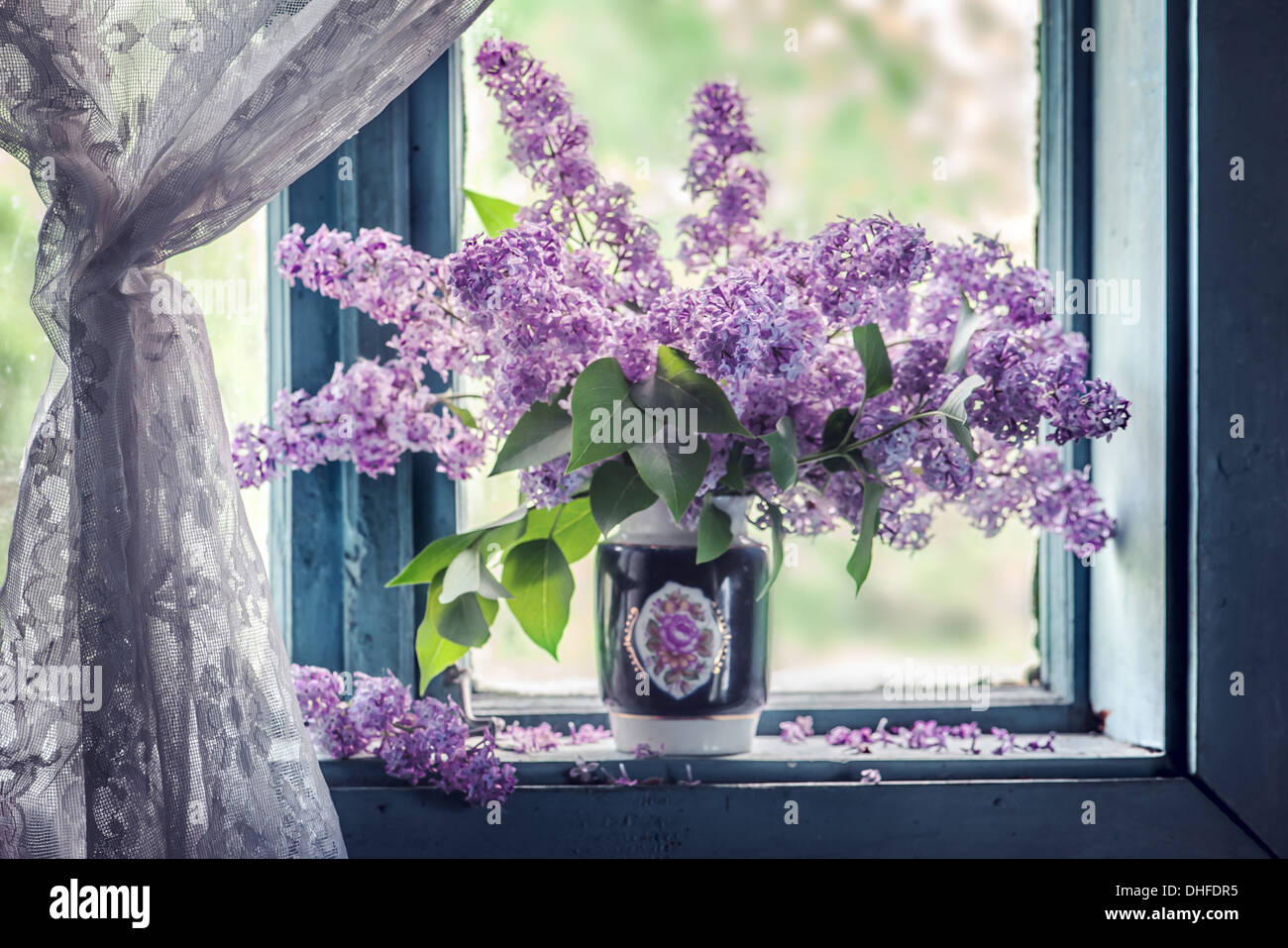 lila Blumen auf alte Fenster Stockfoto