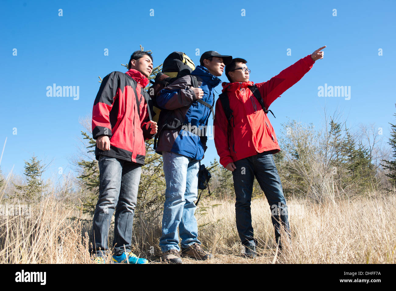 Drei Wanderer im Herbst im Freien auf dem Rasen Stockfoto