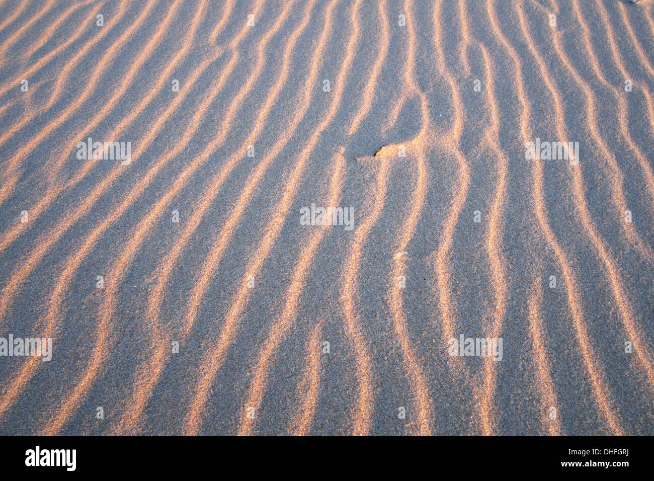 Steigende Sonne Hilights Sand Wellen zu wärmen Stockfoto